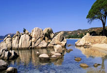 开云服务平台包含金州勇士今夜篮板制胜，志在意甲名次提升，信心回归，球队文化再被提及的词条